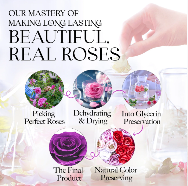 EternaRose™ Necklace